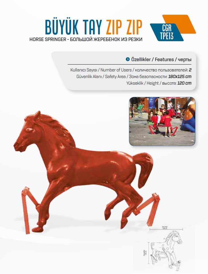 Büyük Tay ZıpZıp – CGR TPE13